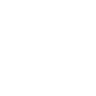 chimney service